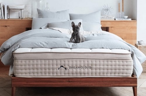 Dreamcloud Mattress